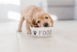 PUPPY Natural Turkey with Rice