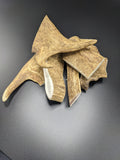 Fallow Deer Antler