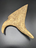 Fallow Deer Antler